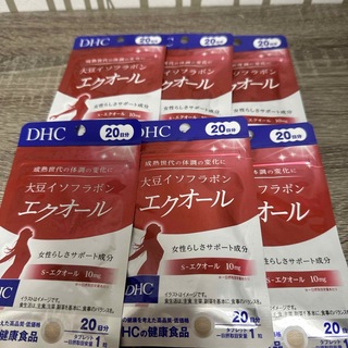 ディーエイチシー(DHC)のDHC 20日分 大豆イソフラボン エクオール 20日 6袋(その他)