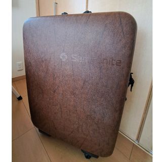 サムソナイト(Samsonite)の美品　Samsonite　サムソナイト　ACE　レピュート　キャリーバッグ　スー(トラベルバッグ/スーツケース)