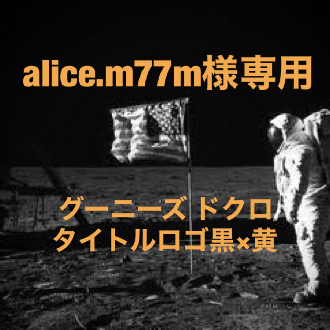 alice.m77m さま専用 レディースのレディース その他(その他)の商品写真