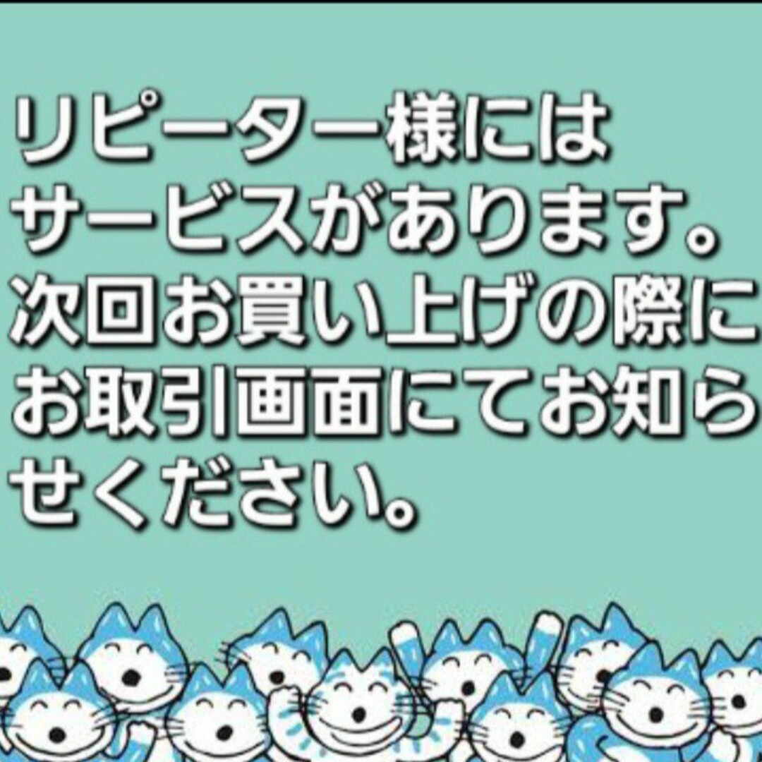 洋裁用ハトロン紙10枚入 ハンドメイドの素材/材料(型紙/パターン)の商品写真