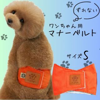 マナーベルト 犬 ずれない マナーパンツ おむつカバー マナーバンド 橙 S(犬)