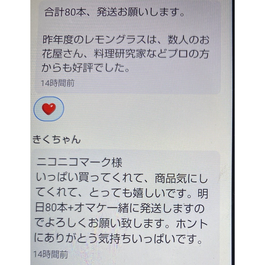 ベトナム最高香り柔らかい種レモングラス抜き苗6本サイズバラバラ。スピード発送 食品/飲料/酒の食品(野菜)の商品写真