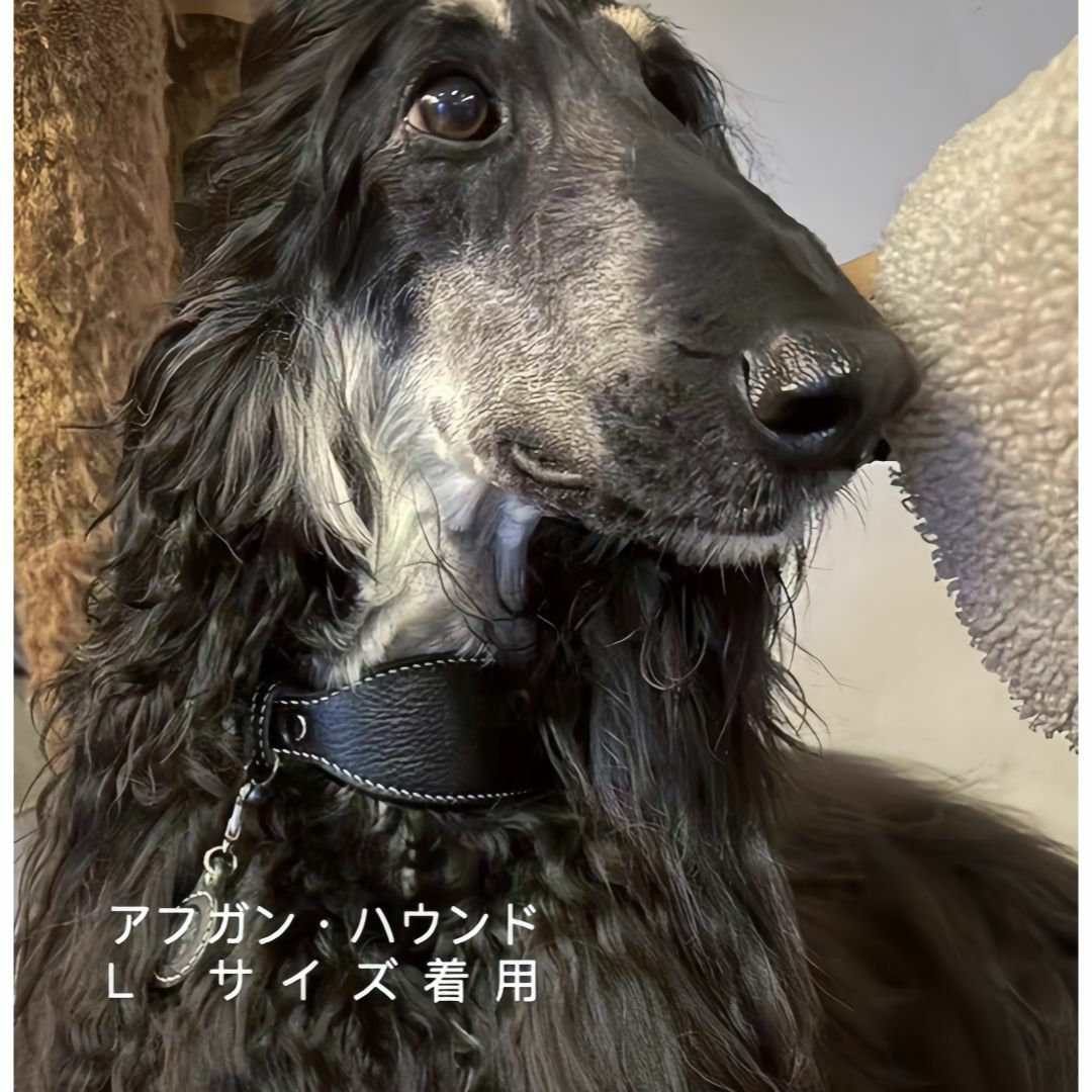 《新品. 未使用》犬首輪高級イタリアンレザー ハンドメイド縫製 サイズ XL その他のペット用品(犬)の商品写真