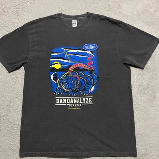 ネイバーフッド(NEIGHBORHOOD)のCHALLENGER BANDANA LYZE 2023 tee tシャツ　XL(Tシャツ/カットソー(半袖/袖なし))