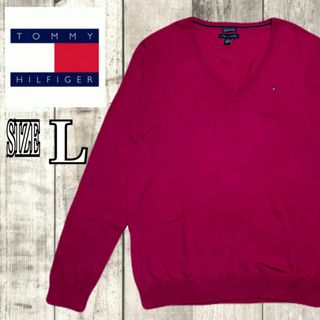 トミーヒルフィガー(TOMMY HILFIGER)のTOMMY HILFIGER トミーヒルフィガー メンズ 長袖 ニット 薄手 L(ニット/セーター)