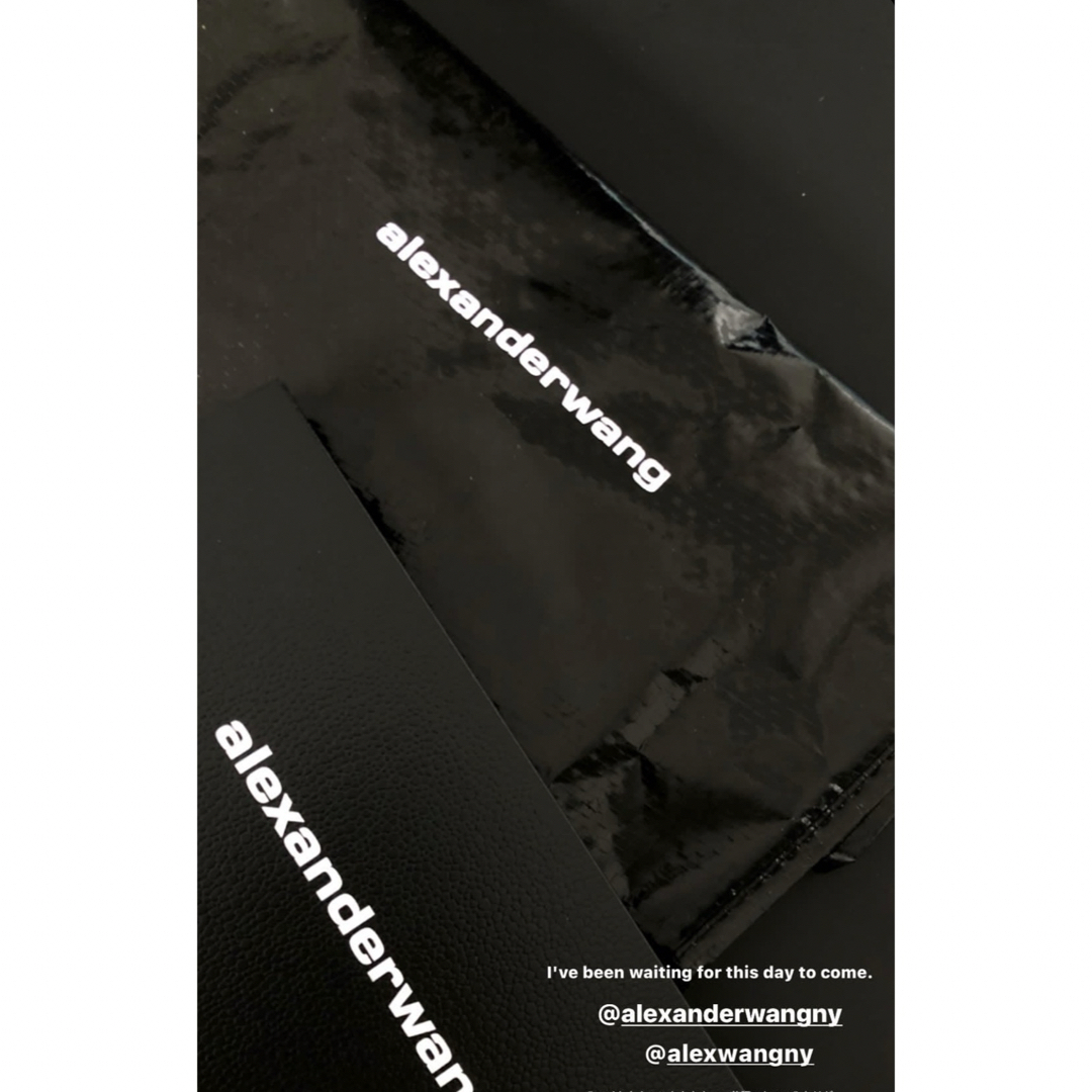 Alexander Wang(アレキサンダーワン)のAlexander Wang アレキサンダーワン　ロゴメッシュトップス レディースのトップス(Tシャツ(半袖/袖なし))の商品写真