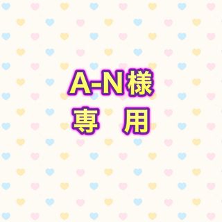 A-N様　　専用(ショルダーバッグ)