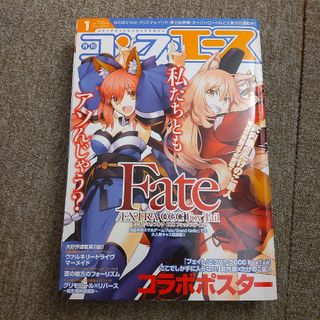 コンプエース 2016年 01月号　コラボポスターなし　Fate(漫画雑誌)