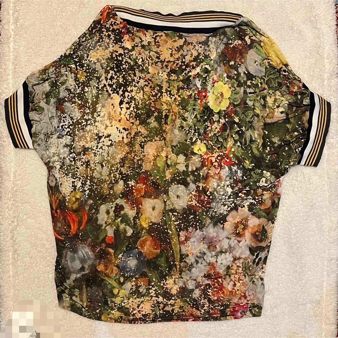 Vivienne Westwood(ヴィヴィアンウエストウッド)のVivienneWestwood 花柄 Tシャツカットソー レディースのトップス(カットソー(半袖/袖なし))の商品写真