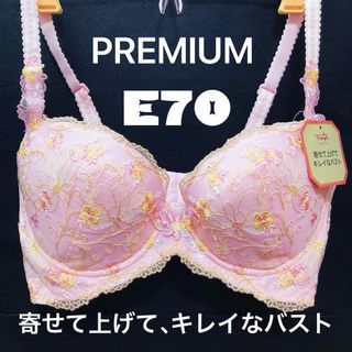 トリンプ(Triumph)のE70 トリンププレミアム レッドレーベル 0076 ブラジャー(ブラ)