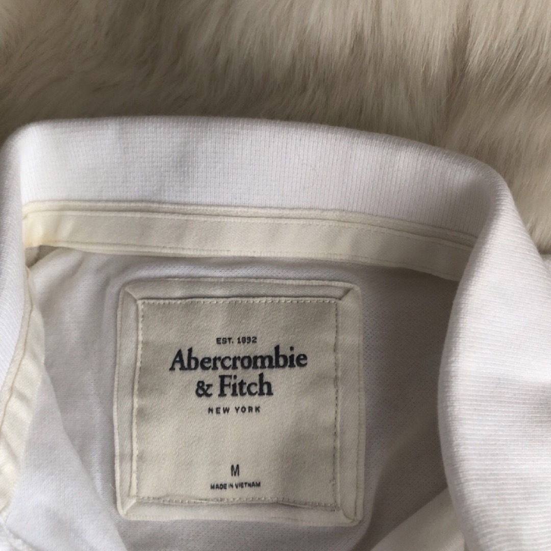 Lochie(ロキエ)のAbercrombie&Fitch polo🩶 レディースのトップス(ポロシャツ)の商品写真