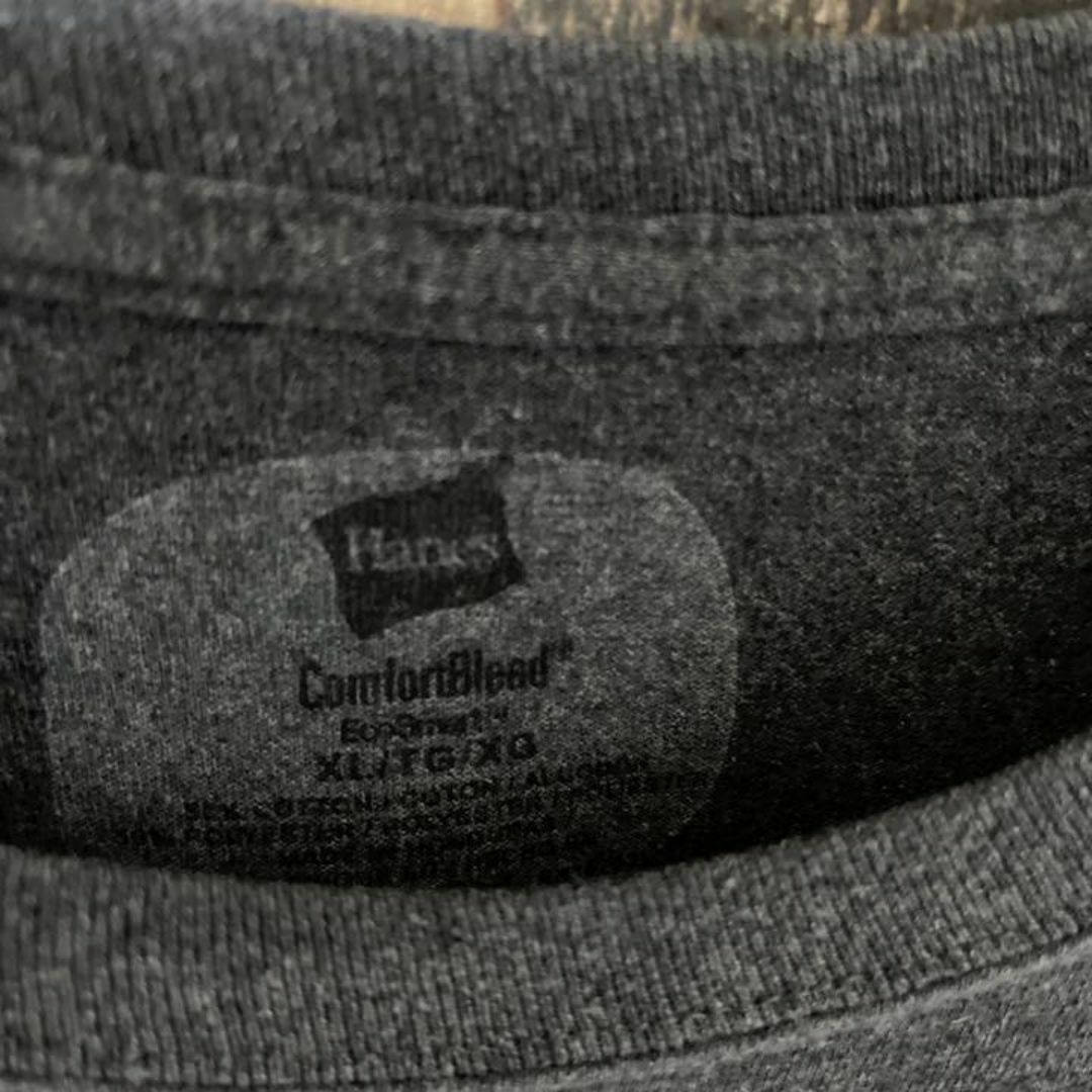 Hanes(ヘインズ)のヘインズ プロチーム チームロゴ メンズ XL グレー 古着 半袖 Tシャツ メンズのトップス(Tシャツ/カットソー(半袖/袖なし))の商品写真