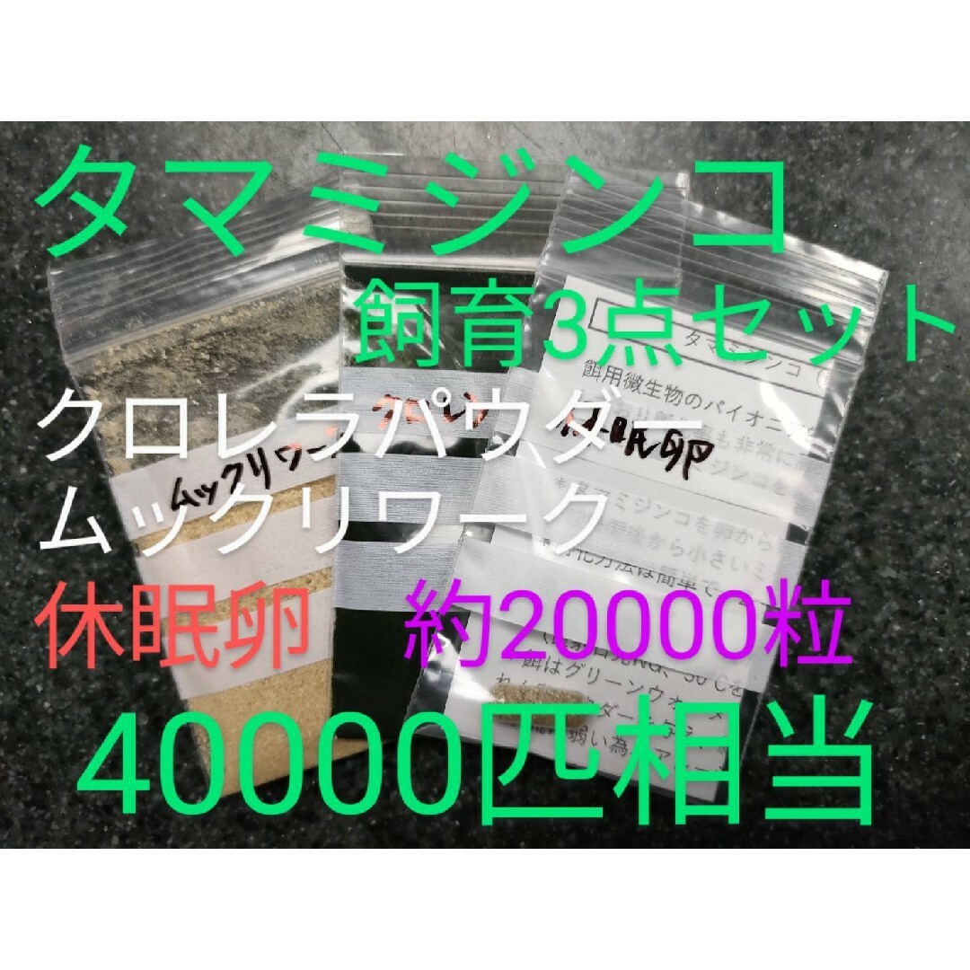 送金無料！タマミジンコ飼育3点セット　クロレラパウダー　ムックリワーク　　乾燥卵 その他のペット用品(アクアリウム)の商品写真