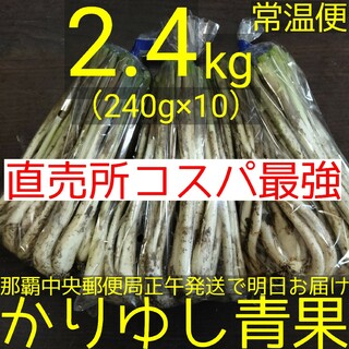 〈直売所コスパ最強〉沖縄県産　Ｗさんの島らっきょう2.4kg以上【常温便無料】①(野菜)