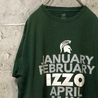 ヘインズ(Hanes)のFEBRUARY IZZO アースカラー USA輸入 ビック Tシャツ(Tシャツ/カットソー(半袖/袖なし))