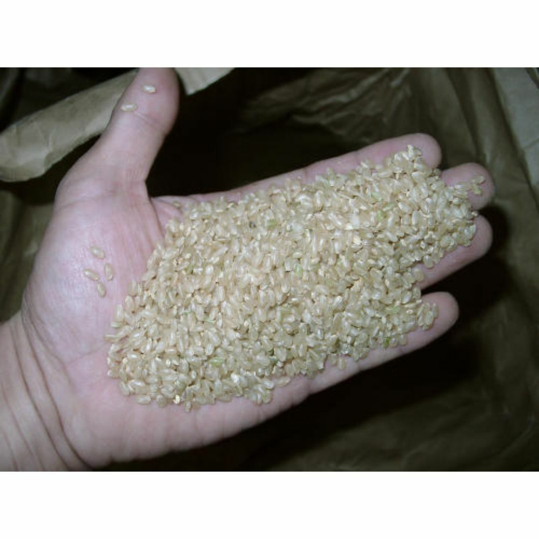 【チャチャ様】専用　玄米24kg（8㎏×3袋）令和５年産新米ミルキークイーン 食品/飲料/酒の食品(米/穀物)の商品写真