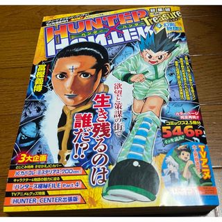 ハンターハンター Hunter×hunter treasure 総集編4