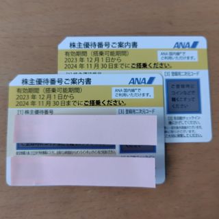 エーエヌエー(ゼンニッポンクウユ)(ANA(全日本空輸))の【2枚】ANA株主優待券(その他)