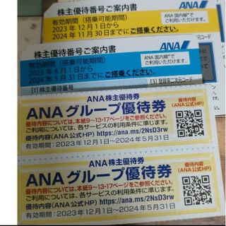 エーエヌエー(ゼンニッポンクウユ)(ANA(全日本空輸))のANA株主優待券2枚　全日本空輸　全日空　ANA　優待券(その他)