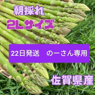 22日発送　のーさん専用 2Lサイズアスパラガス(野菜)