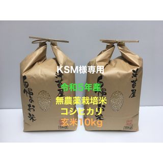 KMS様専用 無農薬コシヒカリ玄米10kg(5kg×2)令和5年産(米/穀物)