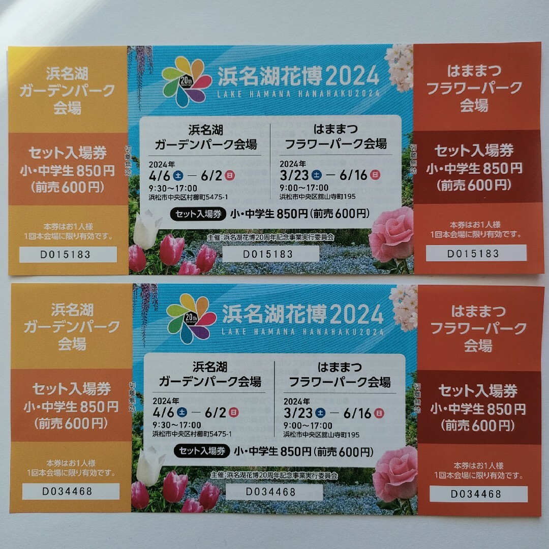 浜名湖花博2024 2枚　ガーデンパーク　フラワーパーク　セット入場券　小中学生 チケットの施設利用券(遊園地/テーマパーク)の商品写真