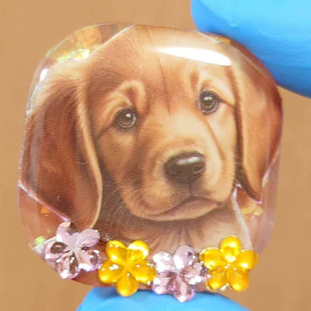 犬ちゃん♥かわいいレジンヘアゴム　　ゴールデンレトリーバー　　　レジン犬 ハンドメイドのアクセサリー(ヘアアクセサリー)の商品写真