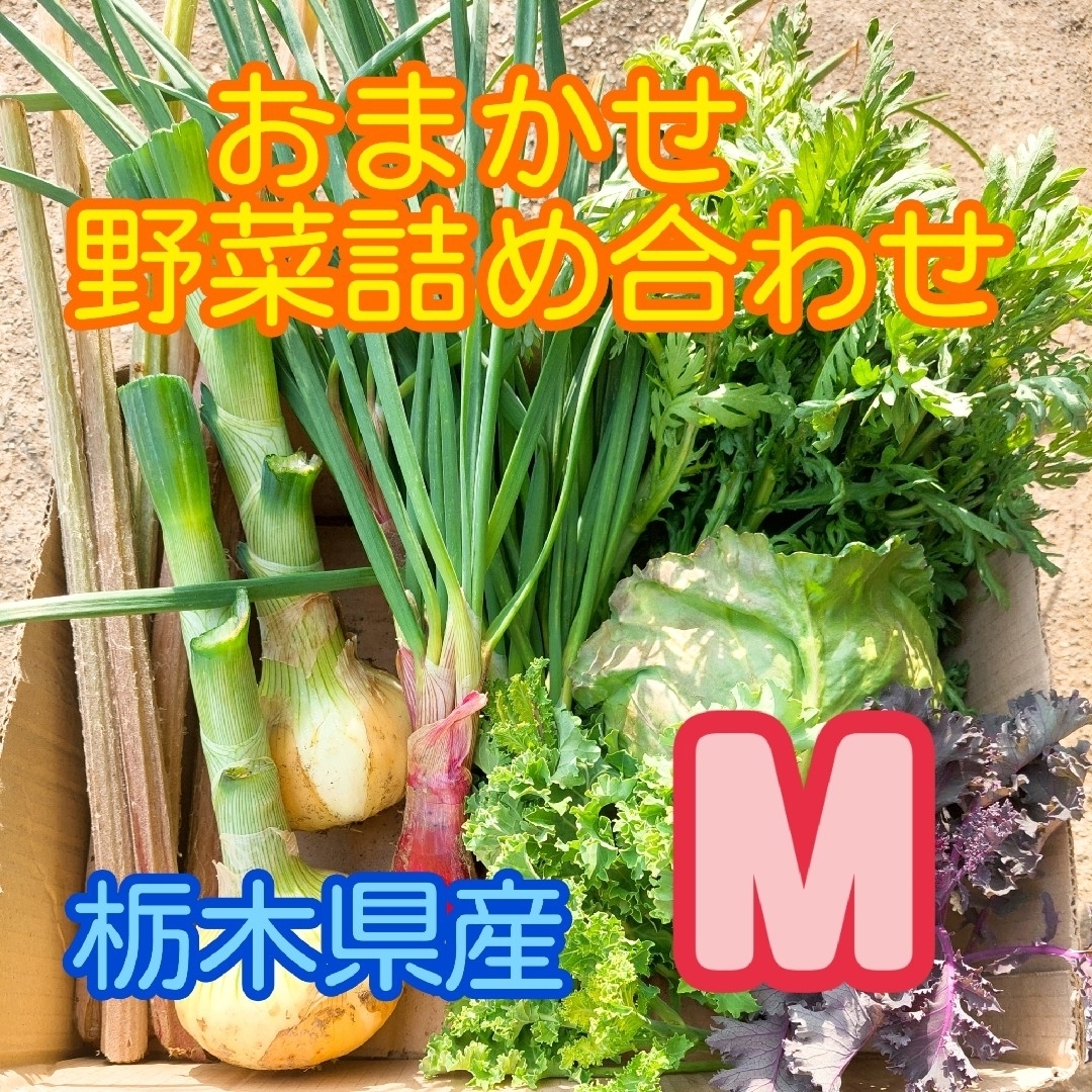 【数量・期間限定】おまかせ野菜詰め合わせBOX【M】 食品/飲料/酒の食品(野菜)の商品写真