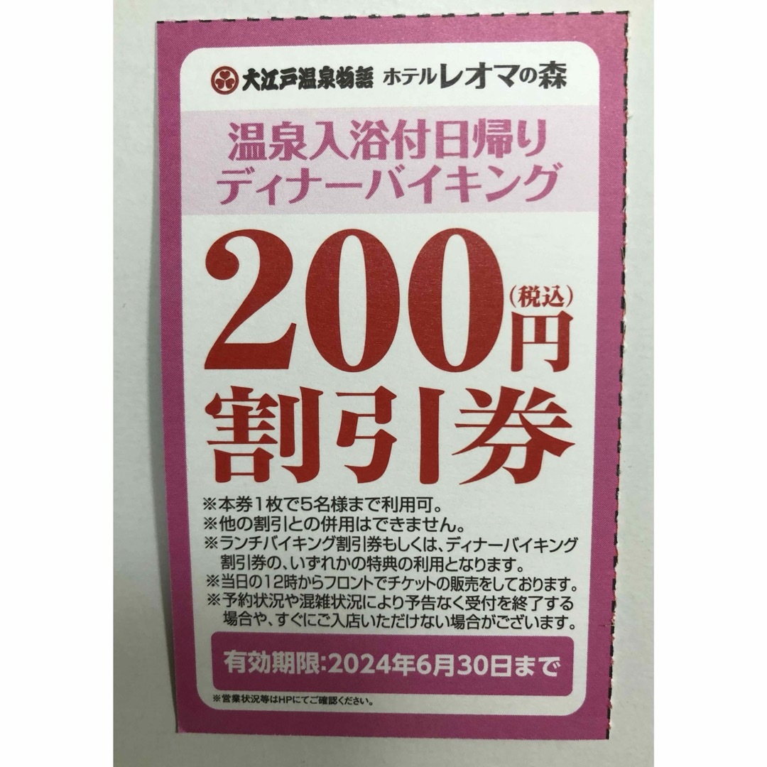 【普通郵便送料無料】レオマワールド フリーパス 優待券★割引券♪1枚⭐︎ チケットの優待券/割引券(その他)の商品写真