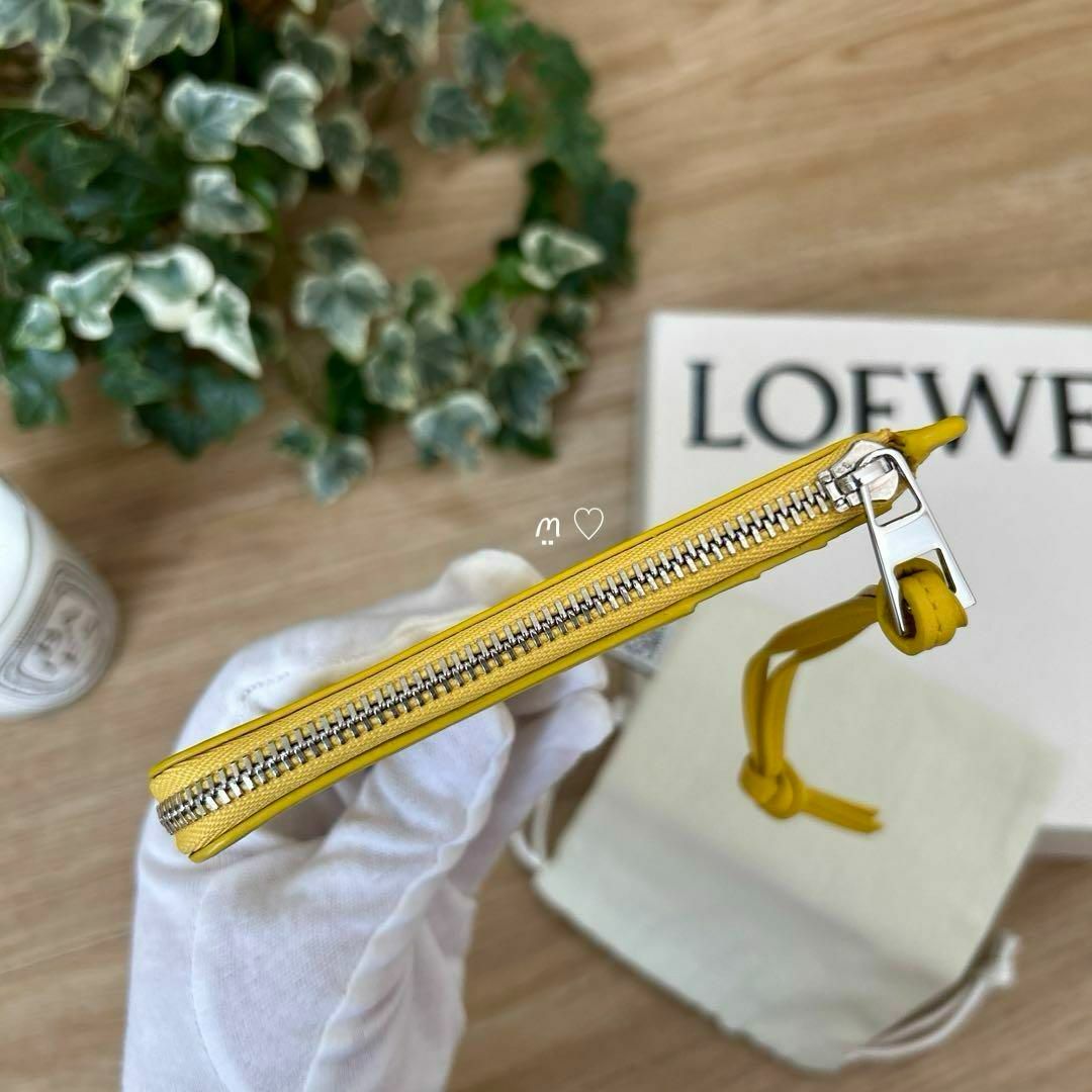 LOEWE(ロエベ)のロエベ　LOEWE　コインカードホルダー　フラグメントケース　小銭入れ　ミニ財布 レディースのファッション小物(コインケース)の商品写真