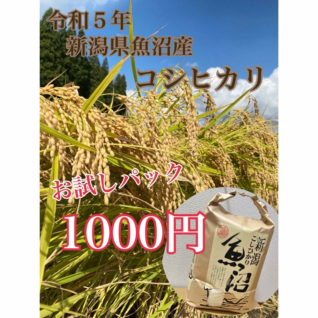 新潟県魚沼産コシヒカリ　お試しパック 食品/飲料/酒の食品(米/穀物)の商品写真