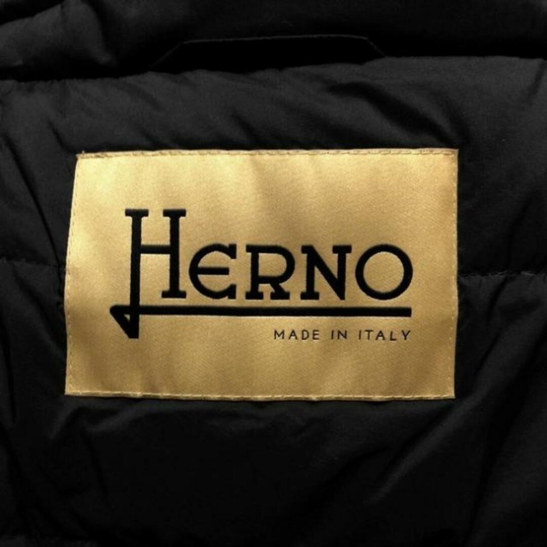 HERNO(ヘルノ)のHERNO(ヘルノ) ダウンコート サイズ44 L レディース - ネイビー 長袖/冬 レディースのジャケット/アウター(ダウンコート)の商品写真