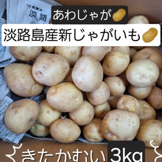 淡路島産新じゃがいも🥔キタカムイ3kg(野菜)