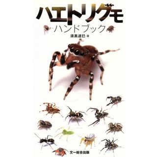 ハエトリグモ　ハンドブック／須黒達巳(著者)(科学/技術)