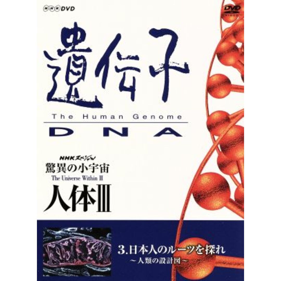 ＮＨＫスペシャル　驚異の小宇宙　人体Ⅲ　ｖｏｌ．３日本人のルーツを探れ～人類の設計図～ エンタメ/ホビーのDVD/ブルーレイ(ドキュメンタリー)の商品写真