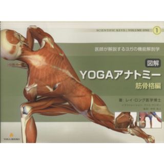 図解　ＹＯＧＡアナトミー　筋骨格編 医師が解説するヨガの機能解剖学 ＳＣＩＥＮＴＩＦＩＣ　ＫＥＹＳ１／レイ・ロング(著者),中村尚人(訳者)(ファッション/美容)