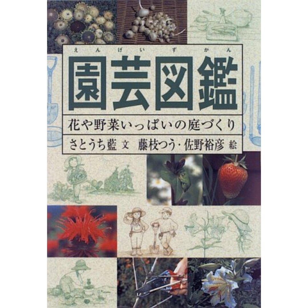 園芸図鑑―花や野菜いっぱいの庭づくり (Do!図鑑シリーズ)／さとうち 藍 エンタメ/ホビーの本(住まい/暮らし/子育て)の商品写真