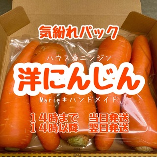 【気紛れ】1kg　洋にんじん　お試しパック　ハウス　野菜　産地直送　期間限定(野菜)