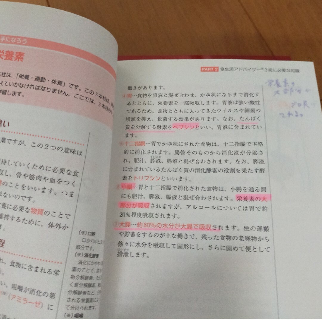 【公式】食生活アドバイザー３級テキスト＆問題集 エンタメ/ホビーの本(科学/技術)の商品写真