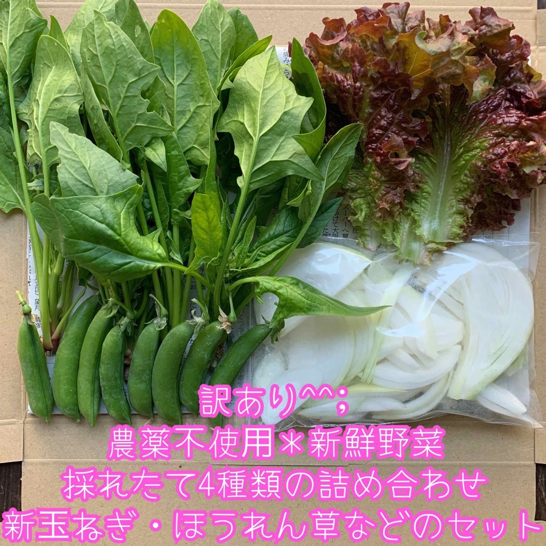 訳あり^^;農薬不使用野菜＊採れたて4種類の詰め合わせ＊新玉ねぎ等＊ネコポス＊ 食品/飲料/酒の食品(野菜)の商品写真