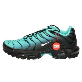 ナイキ(NIKE)のNIKE ナイキ AIR MAX PLUS LT RETRO DM0032-401 エアマックスプラス ライトレトロ ローカットスニーカー ブルー/ブラック US11/29cm(スニーカー)