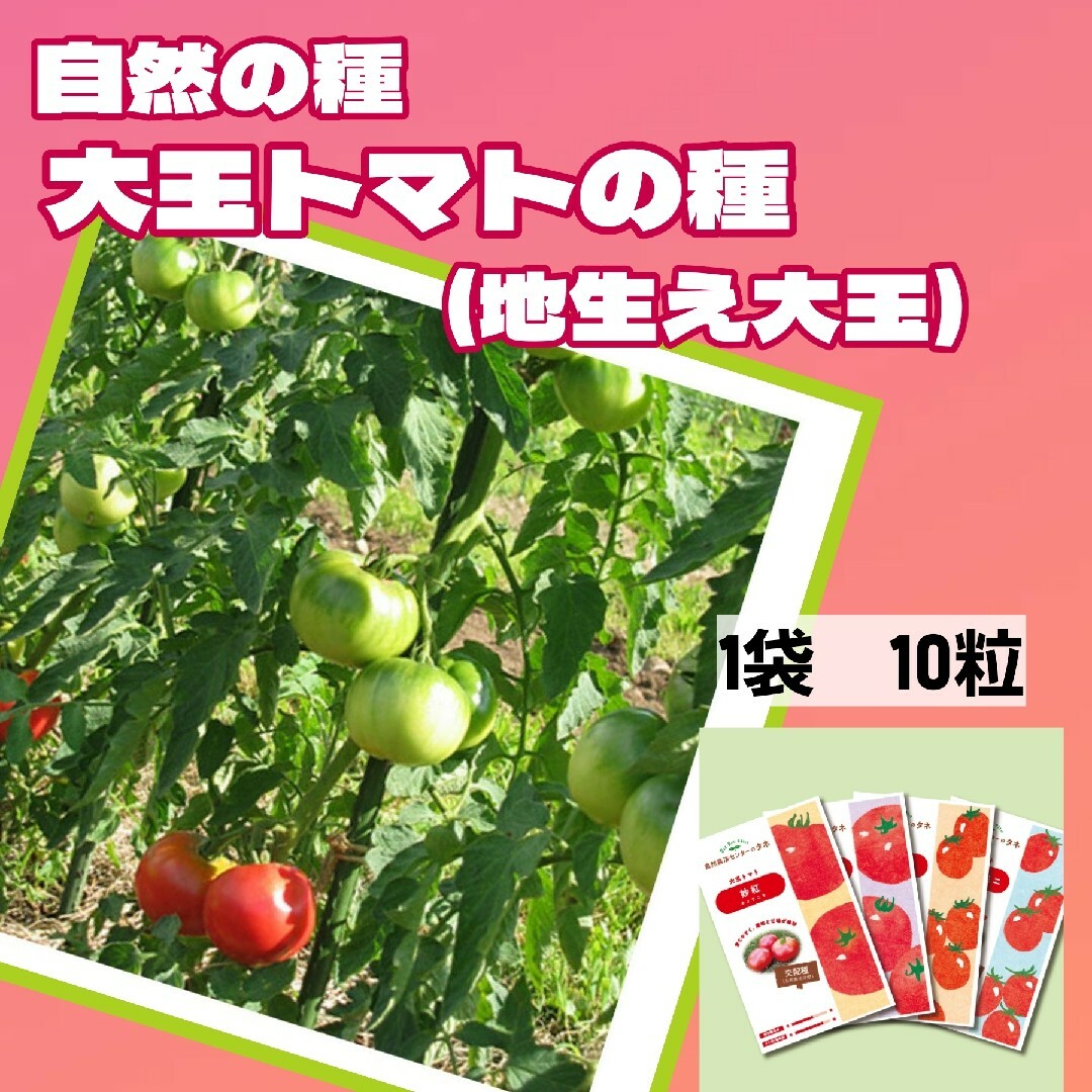 トマトの種　自生え大玉　国内で育成、採取した自然の種　家庭菜園　作りやすい 食品/飲料/酒の食品(野菜)の商品写真