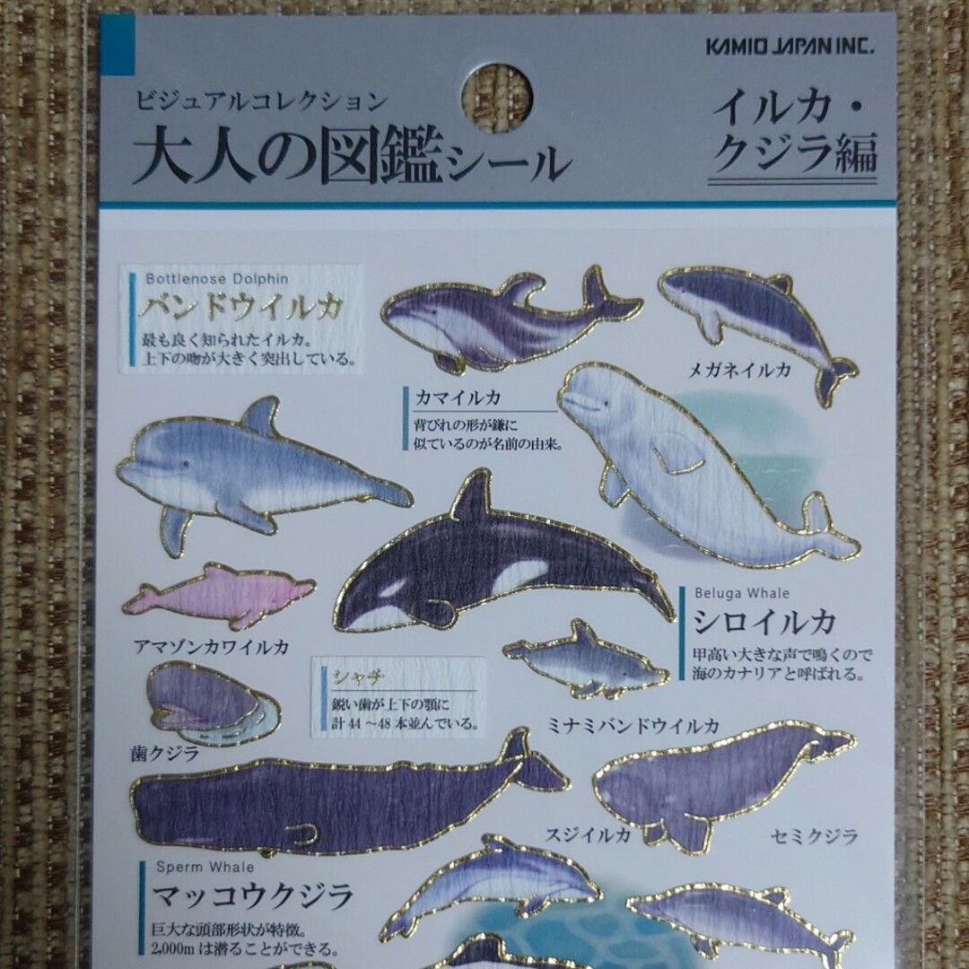 カミオジャパン(カミオジャパン)の大人の図鑑シール イルカ•クジラ編 インテリア/住まい/日用品の文房具(シール)の商品写真