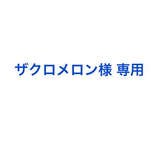 ザクロメロン様 専用(その他)