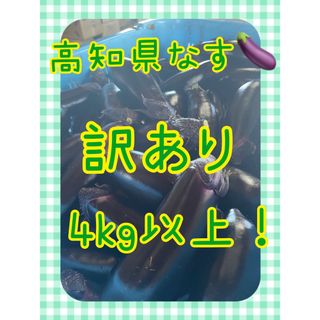 【訳あり】高知県なす　4kg以上！(野菜)