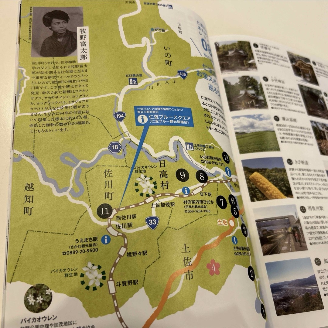 高知・仁淀川エリアの旅ガイド 仁淀ブルー エンタメ/ホビーの本(地図/旅行ガイド)の商品写真