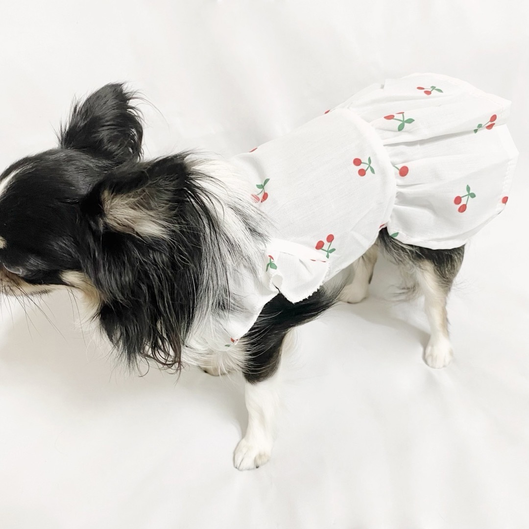 新品 XL さくらんぼ コットン ワンピース （赤） 犬服 猫服 犬の服 小型犬 その他のペット用品(犬)の商品写真