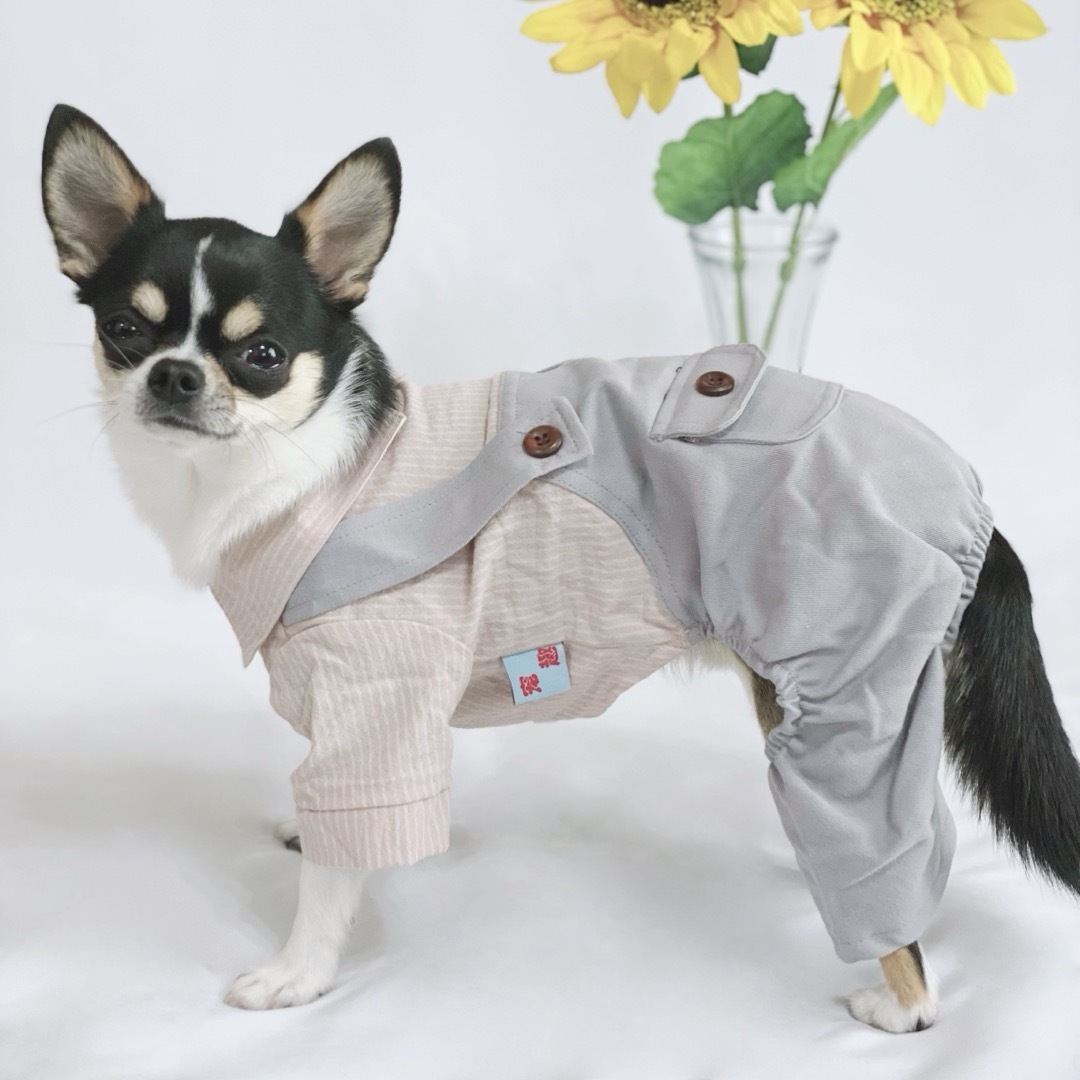 新品 XS ビッグポケット カバーオール （グレー）犬服 つなぎ ロンパース その他のペット用品(犬)の商品写真