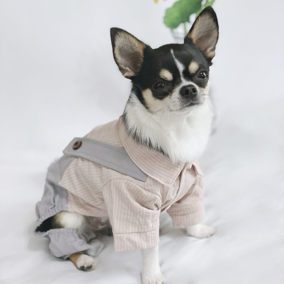 新品 XS ビッグポケット カバーオール （グレー）犬服 つなぎ ロンパース その他のペット用品(犬)の商品写真