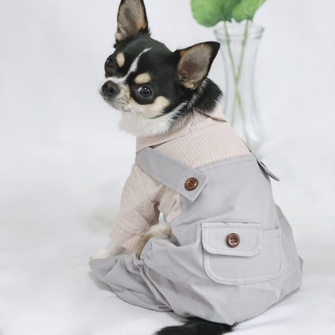 新品 XS ビッグポケット カバーオール （グレー）犬服 つなぎ ロンパース その他のペット用品(犬)の商品写真